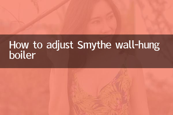 Smythe 벽걸이형 보일러 조정 방법