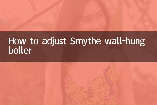 Smythe 벽걸이형 보일러 조정 방법
