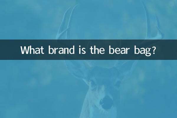 ریچھ کا بیگ کون سا برانڈ ہے؟