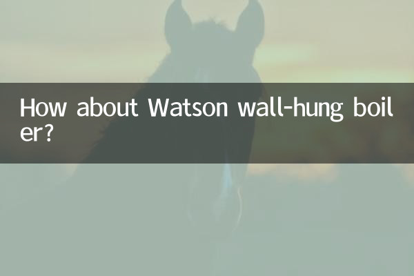 Watson 壁掛けボイラーはどうでしょうか?