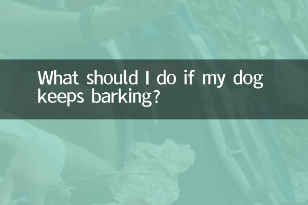 ¿Qué debo hacer si mi perro sigue ladrando?