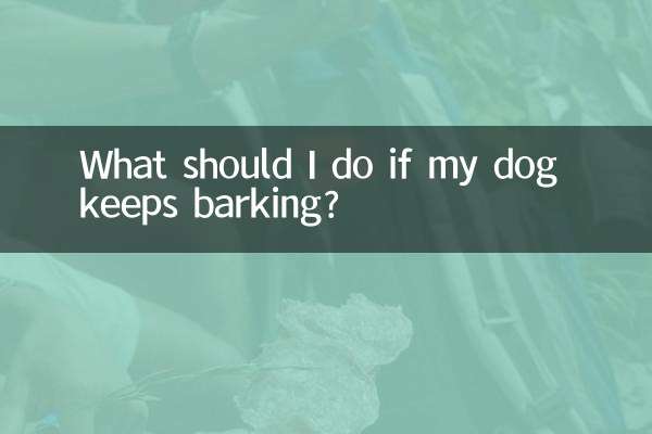 अगर मेरा कुत्ता भौंकता रहे तो मुझे क्या करना चाहिए?