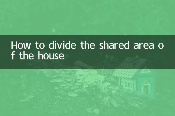 Como dividir a área compartilhada da casa