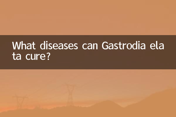 天麻可治什麼病