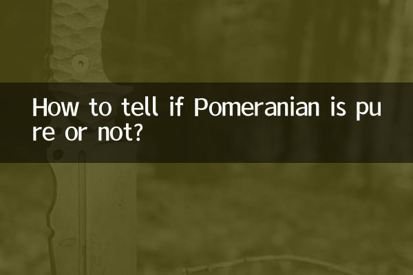 Como saber se a Pomerânia é pura ou não?