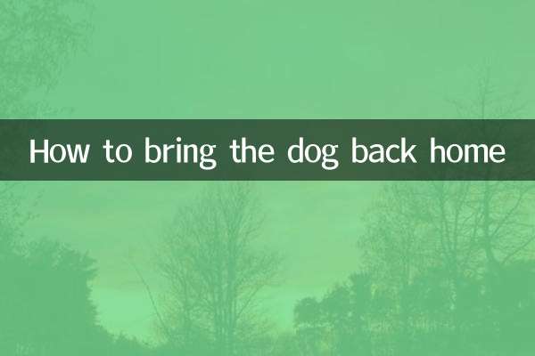 狗狗怎麼帶回老家