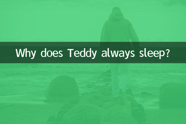 テディはなぜいつも寝ているのですか?