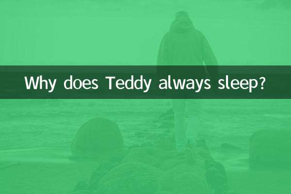 কেন টেডি সবসময় ঘুমায়?