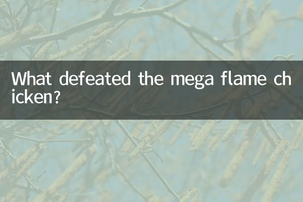 mega火焰鸡被什么克