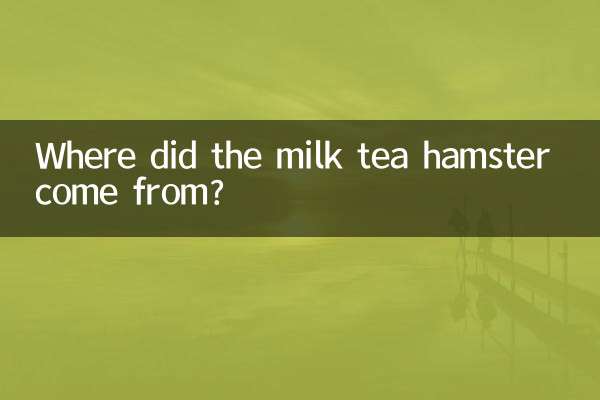 밀크티 햄스터는 어디서 왔나요?