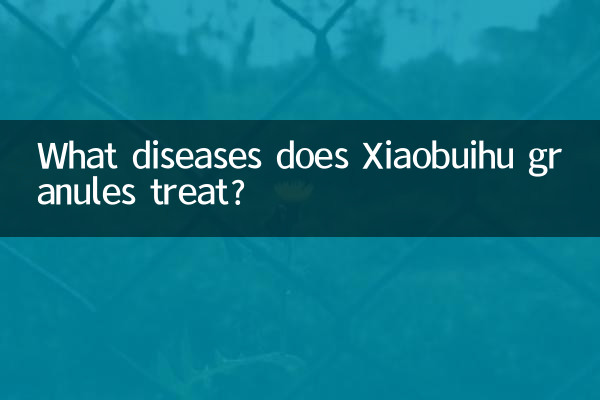Quali malattie trattano i granuli Xiaobuihu?