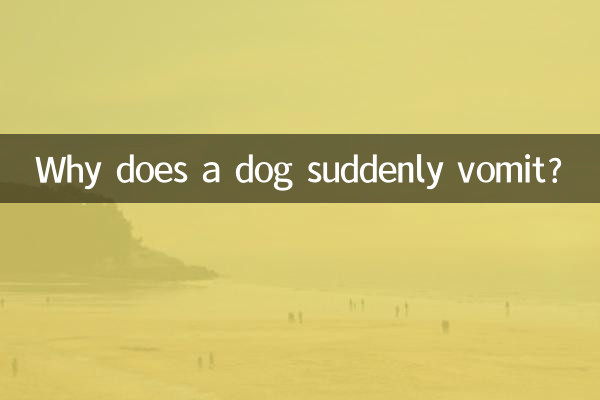 چرا سگ ناگهان استفراغ می کند؟