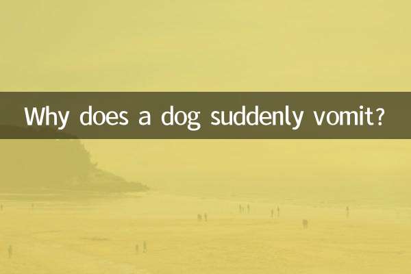 چرا سگ ناگهان استفراغ می کند؟