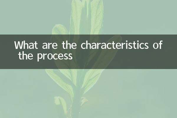 工藝特點是什麼