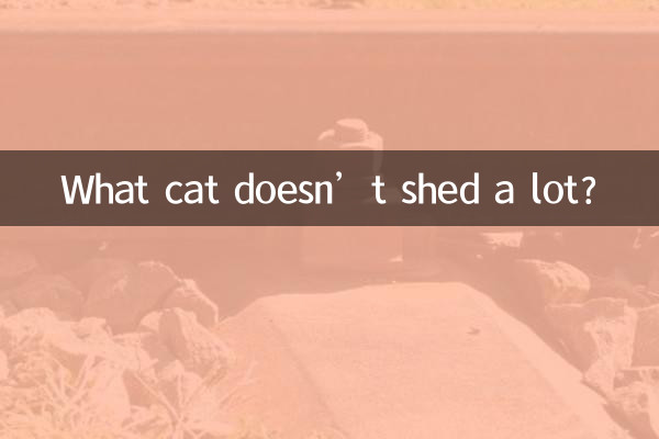 ¿Qué gato no muda mucho pelo?