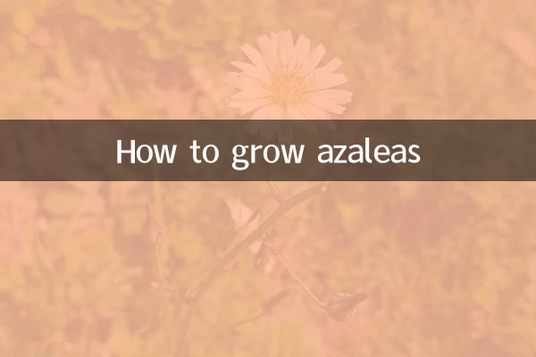 Cómo cultivar azaleas