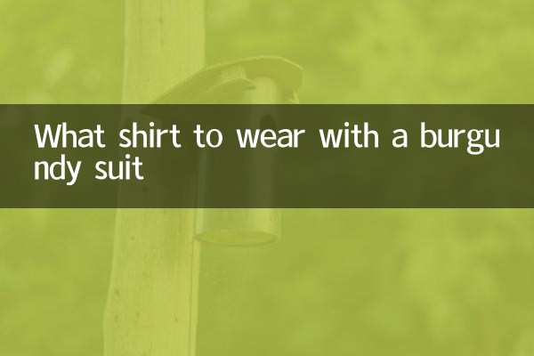 Que camisa llevar con un traje burdeos