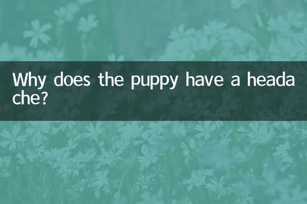 なぜ子犬は頭が痛いのですか？