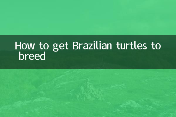 怎麼讓巴西龜繁殖