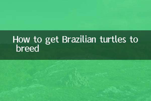 Come far riprodurre le tartarughe brasiliane