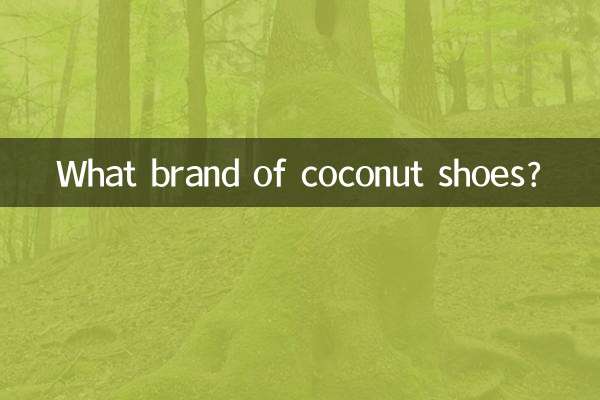 What brand of coconut shoes?