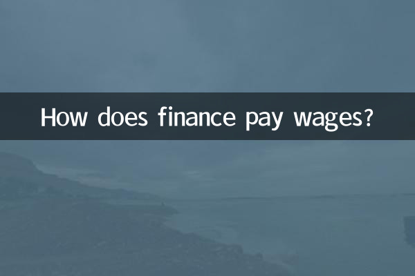 वित्त वेतन का भुगतान कैसे करता है?