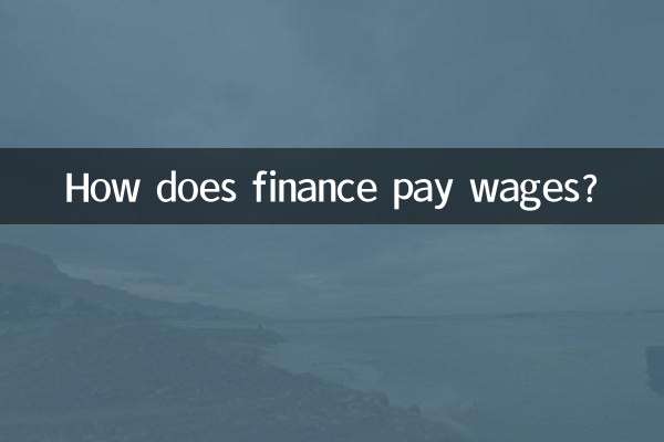 वित्त वेतन का भुगतान कैसे करता है?