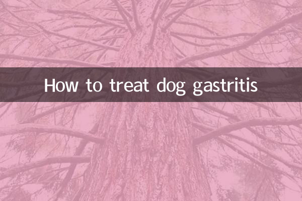 कुत्ते के जठरशोथ का इलाज कैसे करें