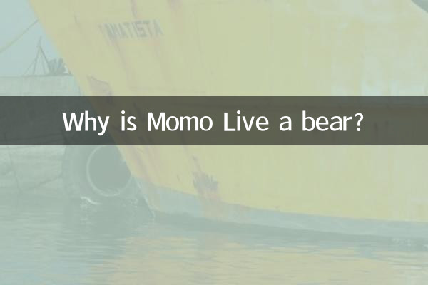 Pourquoi Momo Live est-il un ours ?