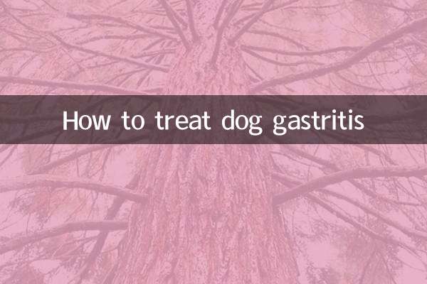 Cómo tratar la gastritis en perros