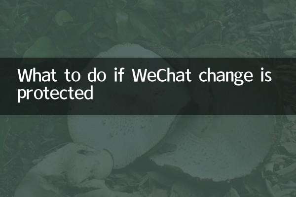 微信零錢被保護怎麼辦