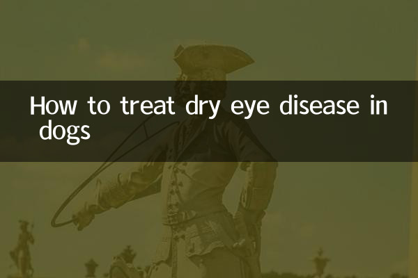 نحوه درمان بیماری خشکی چشم در سگ