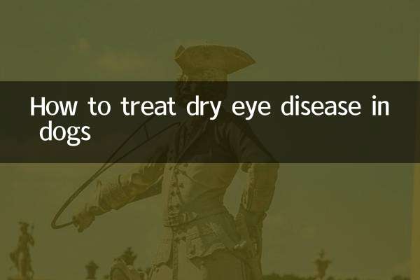 نحوه درمان بیماری خشکی چشم در سگ