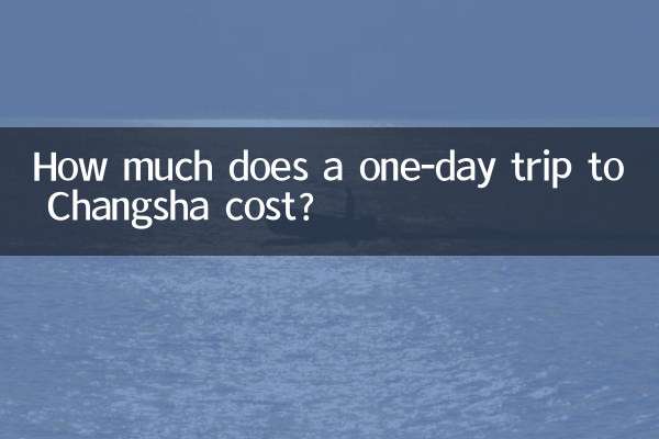 كم تكلف الرحلة ليوم واحد إلى تشانغشا ؟