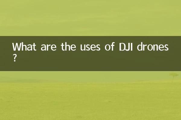 DJI 드론의 용도는 무엇인가요?