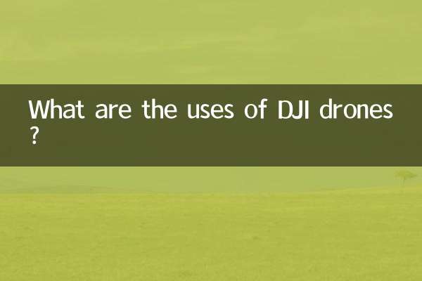 DJI 드론의 용도는 무엇인가요?