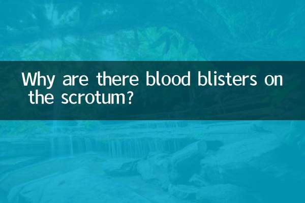 Por que existem bolhas de sangue no escroto?