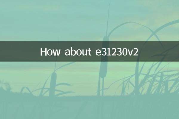 e31230v2는 어떻습니까?