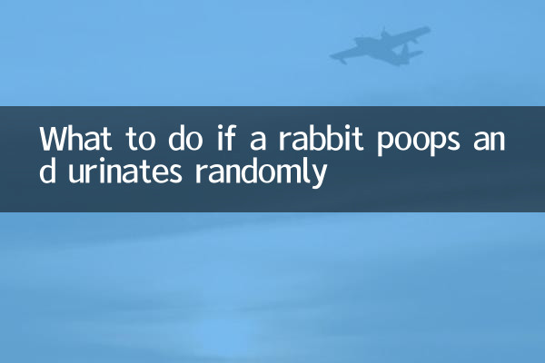 토끼가 무작위로 똥을 싸거나 소변을 보면 어떻게 해야 할까요?