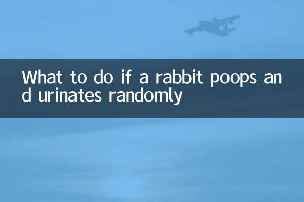 토끼가 무작위로 똥을 싸거나 소변을 보면 어떻게 해야 할까요?