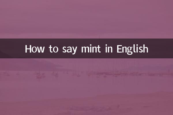 How to say mint in English