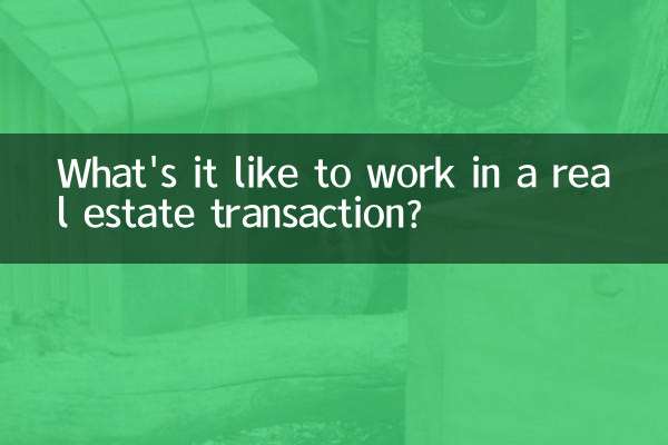 What's it like to work in a real estate transaction?
