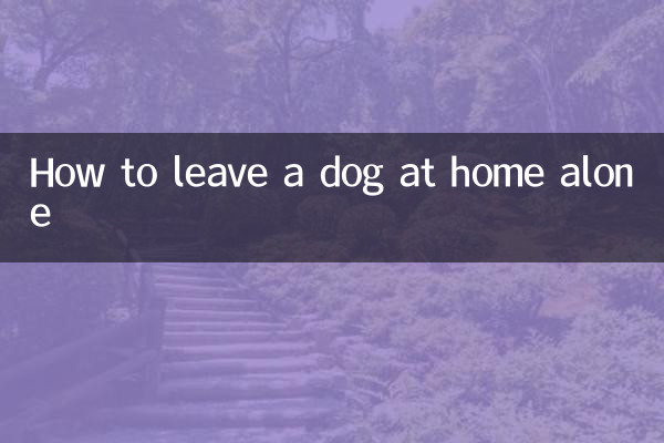 Как оставить собаку дома одну