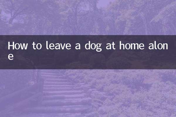 Как оставить собаку дома одну