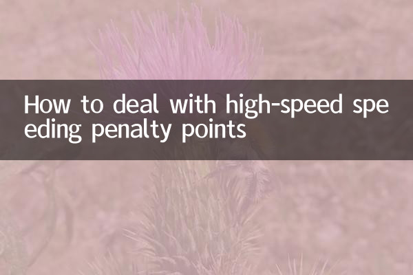 How to deal with high-speed speeding penalty points