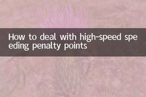 How to deal with high-speed speeding penalty points