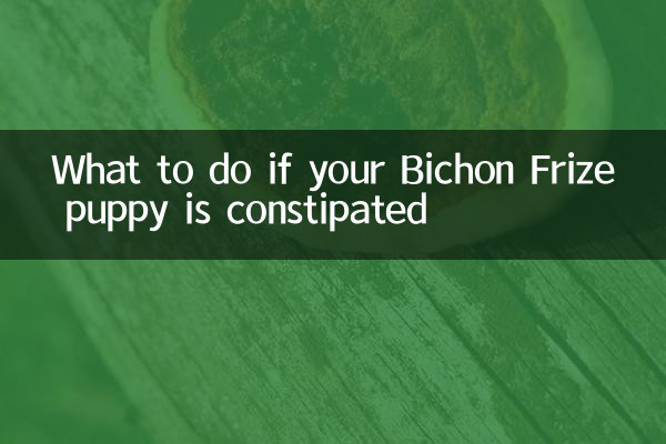 比熊幼犬便秘怎么办