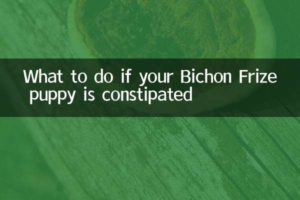 比熊幼犬便秘怎么办