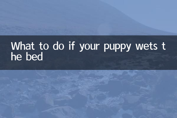 Qué hacer si tu cachorro moja la cama