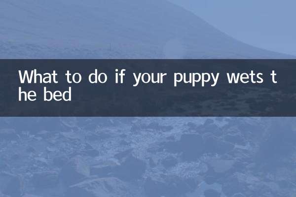 Qué hacer si tu cachorro moja la cama